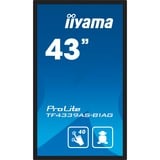 iiyama TF4339AS-B1AG, Affichage public Noir (Mat)