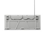 SteelSeries Apex 3 TKL RGB clavier gaming Blanc, Layout US (QWERTY), SteelSeries Whisper-Quiet, 80% (TKL)