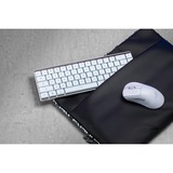 ASUS ROG Falchion RX Low Profile, clavier gaming Blanc, Layout États-Unis, ROG RX Red, US layout, ROG RX Red, 65%, RGB LED, USB / 2,4 GHz / Bluetooth