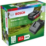 Bosch Starter-Set 36V (GBA 36V 2.0Ah + AL 36V-20), Chargeur Noir