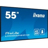 iiyama LH5560UHS-B1AG, Affichage public Noir (Mat)