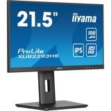iiyama ProLite XUB2293HS-B6 21.5" Moniteur Noir, 1x DisplayPort, 1x HDMI