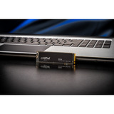 Crucial P310 500 Go SSD Noir, CT500P310SSD8, PCIe Gen 4.0 x4, NVMe 2.0