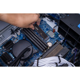 Crucial P310 500 Go SSD Noir, CT500P310SSD8, PCIe Gen 4.0 x4, NVMe 2.0