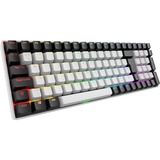 Sharkoon SKILLER SGK50 S2 RGB clavier gaming mécanique Blanc, Layout BE (AZERTY), Gateron Brown, 96%, Hot-swappable