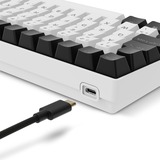 Sharkoon SKILLER SGK50 S2 RGB clavier gaming mécanique Blanc, Layout BE (AZERTY), Gateron Brown, 96%, Hot-swappable