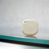 Shelly BLU Button Tough ZB, Palpeur Champagne