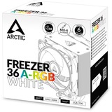 ARCTIC Congélateur 36 RGB Refroidisseur CPU Blanc, 4 broches PWM