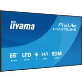iiyama ProLite LH6575UHS-B2AG, Affichage public Noir (Mat), 3x HDMI | 1x DisplayPort | LAN | WiFi | 24/7
