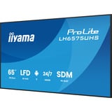 iiyama ProLite LH6575UHS-B2AG, Affichage public Noir (Mat), 3x HDMI | 1x DisplayPort | LAN | WiFi | 24/7