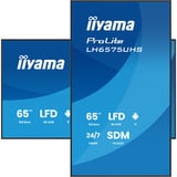 iiyama ProLite LH6575UHS-B2AG, Affichage public Noir (Mat), 3x HDMI | 1x DisplayPort | LAN | WiFi | 24/7