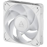 ARCTIC P12 Pro A-RGB ventilateur de boîtier Blanc, 120 x 120 x 25 mm, PWM, Ventilateur, 12 cm, 131 m³/h, Blanc