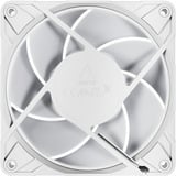 ARCTIC P12 Pro A-RGB ventilateur de boîtier Blanc, 120 x 120 x 25 mm, PWM, Ventilateur, 12 cm, 131 m³/h, Blanc