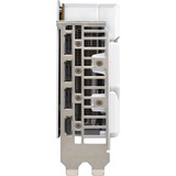 ASUS Dual -RTX5060-O8G-WHITE NVIDIA GeForce RTX 5060 8 Go GDDR7, Carte graphique Blanc, GeForce RTX 5060, 8 Go, GDDR7, 128 bit, 7680 x 4320 pixels, PCI Express 5.0