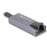 DeLOCK Adaptateur USB Type-C vers 2.5 Gigabit LAN slim, Carte réseau Gris