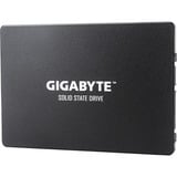 GIGABYTE 256 Go SSD GP-GSTFS31256GTND, SATA 600