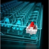 Sharkoon SKILLER SGK50 S4 RGB clavier gaming mécanique Noir, Layout BE (AZERTY), Kailh Red, 60%, Hot-swappable