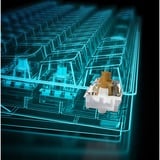 Sharkoon SKILLER SGK50 S4 RGB clavier gaming mécanique Noir, Layout BE (AZERTY), Kailh Brown, 60%, Hot-swappable