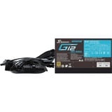 Seasonic G12 GC-550, 550 Watt alimentation  Noir, 550 W, 100 - 240 V, 50/60 Hz, 10 A, Actif, 100 W