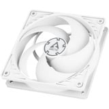 ARCTIC P12 PWM PST ventilateur de boîtier Blanc, 120 x 120 x 25 mm