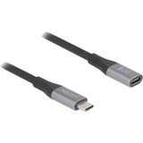 DeLOCK USB-C (mâle) > USB-C (femelle), Câble d'extension Noir/Argent, 1 mètre