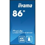 iiyama ProLite LH8675UHS-B1AG, Affichage public Noir, HDMI, DisplayPort, LAN, WiFi, USB, Audio, Android