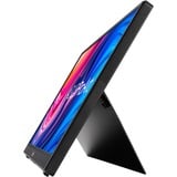 ASUS ProArt PA148CTV 14" Moniteur  Noir, Micro HDMI, USB-C