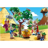 PLAYMOBIL Astérix - Panoramix et le chaudron de Potion Magique, Jouets de construction 70933