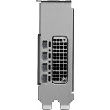 PNY NVIDIA RTX PRO 2000 Blackwell Generation 16Go SB, Carte graphique 4x Mini-Display Port 2.1, Bulk, En vrac