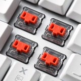 Sharkoon PureWriter TKL RGo, clavier gaming Blanc, Layout États-Unis, Kailh Choc Profil Bas Rouge, LED RGB, TKL