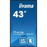 iiyama ProLite LH4365UHSB-B1, Affichage public Noir, HDMI, DisplayPort, LAN, Audio, USB, WiFi, Android