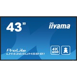 iiyama iiya 43 L LH4365UHSB-B1 LCD 4K UHD IPS L, Affichage public Noir