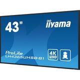 iiyama iiya 43 L LH4365UHSB-B1 LCD 4K UHD IPS L, Affichage public Noir