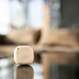 Shelly BLU Button Tough, Palpeur Moka