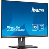 iiyama ProLite XUB2595WSU-B5 25" Moniteur Noir, 1x DisplayPort, 1x HDMI, 1x VGA, 2x USB-A