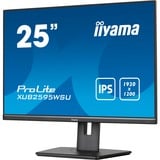 iiyama ProLite XUB2595WSU-B5 25" Moniteur Noir, 1x DisplayPort, 1x HDMI, 1x VGA, 2x USB-A