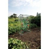 Nature Serre du jardin de tomates Vert/transparent