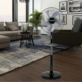 Termozeta Airzetta, Ventilateur Noir/chrome