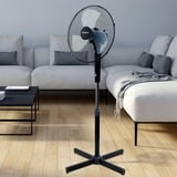 Termozeta Windzeta, Ventilateur Noir