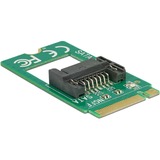 DeLOCK 62876 carte et adaptateur d'interfaces Interne SATA, Serial ATA-Controller M.2, SATA, Vert, 6 Gbit/s, 22 mm, 42 mm