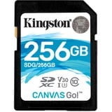 Kingston Canvas Go! SDHC 256 Go, Carte mémoire Noir, UHS-I U3, Class 10