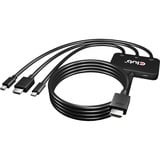 Club 3D DisplayPort 1.2, Adaptateur 2 mètres, 4K 60Hz