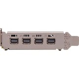 PNY NVIDIA Quadro P1000 DVI, Carte graphique 4x Mini DisplayPort