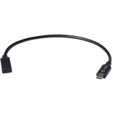 i-tec USB-C, Câble d'extension Noir, 0,3 mètres