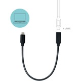 i-tec USB-C, Câble d'extension Noir, 0,3 mètres