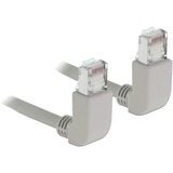 DeLOCK Câble de raccordement S/FTP, RJ-45 Cat.6a Gris, 2 mètres