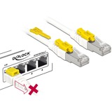 DeLOCK Câble réseau RJ-45 sécurisé Cat.6a Blanc, 85335, 5 mètres