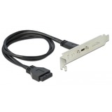 DeLOCK Slot Bracket 1x USB-C, Connecteur d'extension Noir