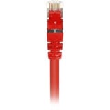 Sharkoon Câble RJ45  Cat.6 SFTP Rouge, 25 cm