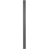 DSI Chemin de câbles vertical 42U - DS-CABLETRAY-42U, Chaîne câblée Noir